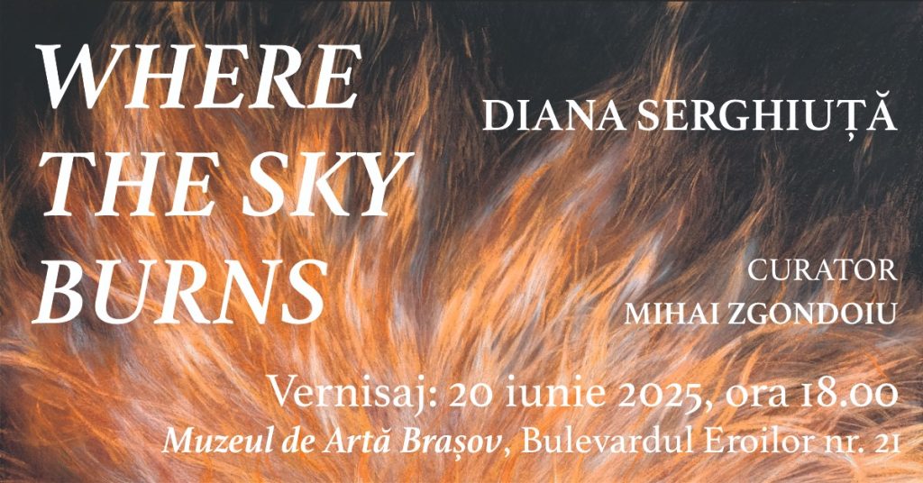 Where the Sky Burns @ Muzeul de Artă Brașov