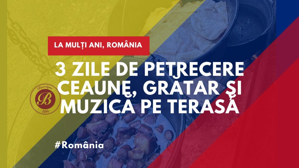 Mare Petrecere pe Terasă de Ziua României @ Barrique Garden