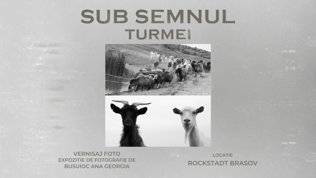 Sub semnul turmei @ Rockstadt