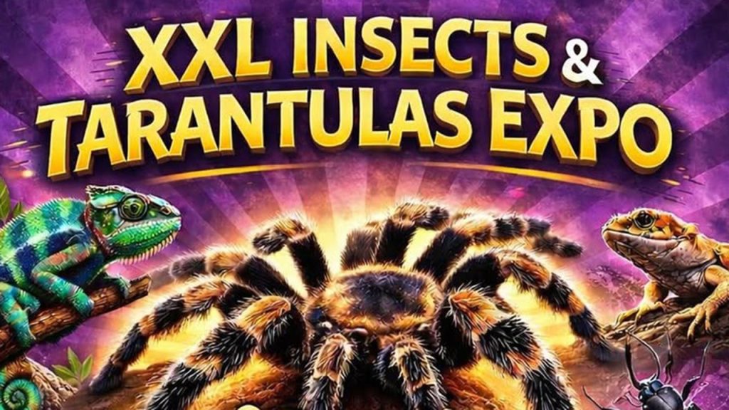 XXL Tarantula & Insecte Expo @ Centrul Cultural Reduta